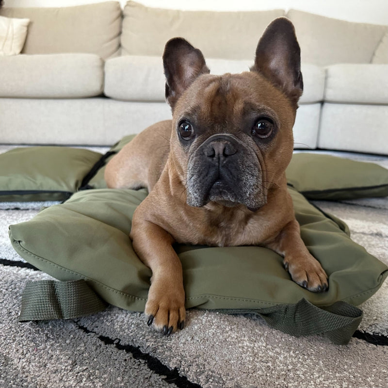 Portable Dog Car Seat Bed